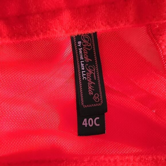 Secret Lace Bra - Picture 3 of 3